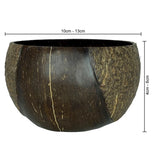 Sahya Dale Coconut Shell Bowl - Matte and Glossy Finish - Salad, Smoothie, Cereal and Ice Cream Bowl, Brown