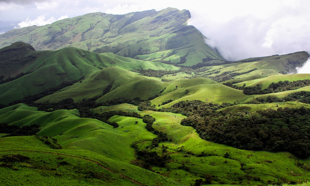 7 Amazing Facts About The Western Ghats You Should Know About – Sahya Dale